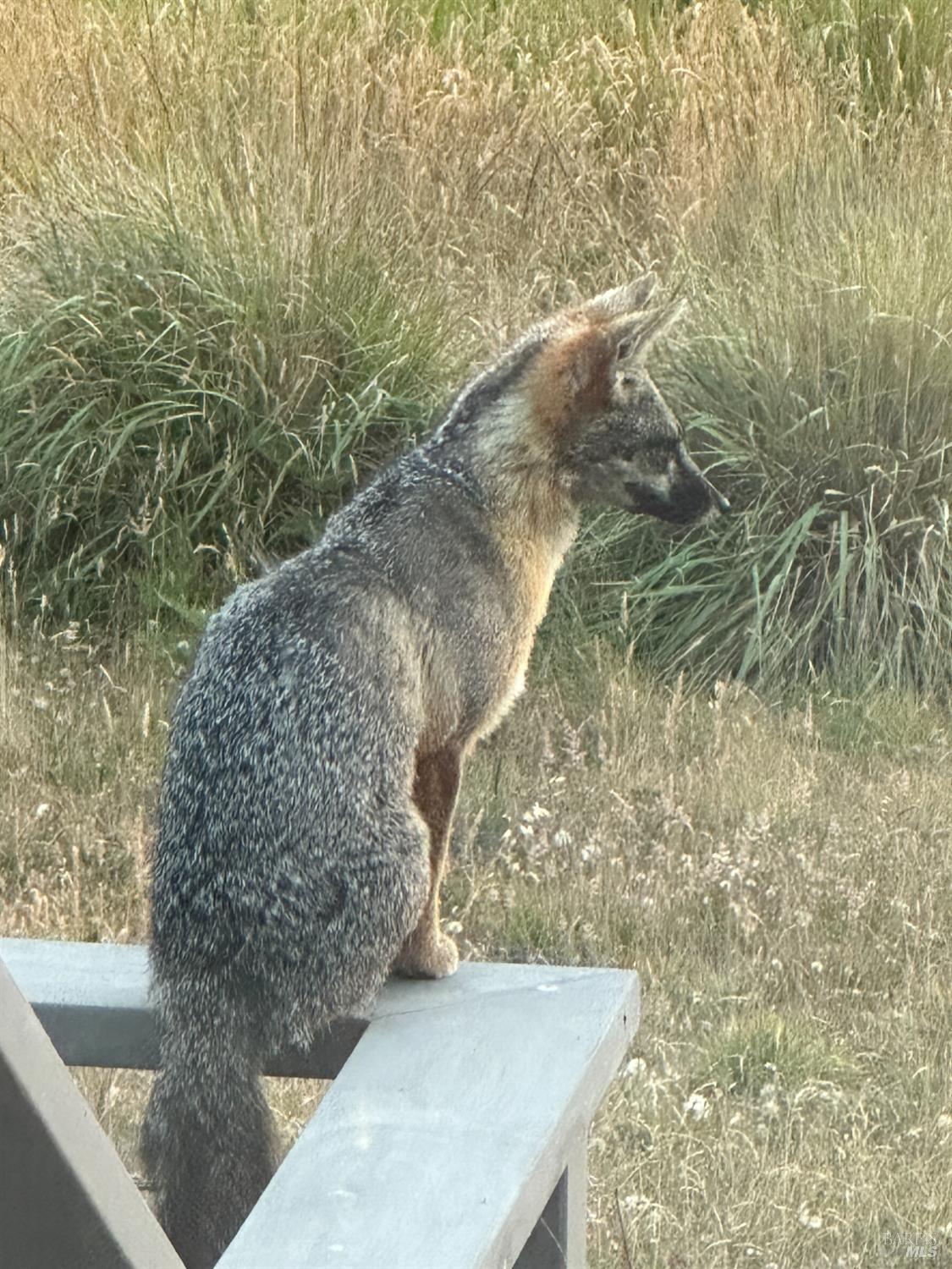 35411 Fly Cloud Road