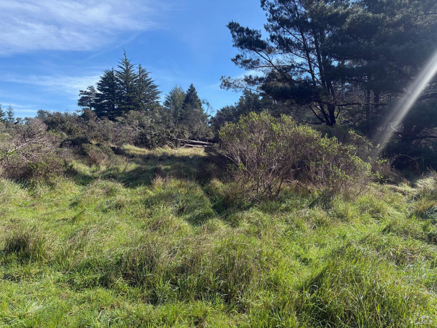 35411 Fly Cloud Road