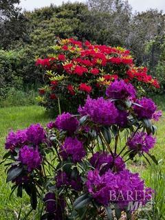 43700 Mountain View Road