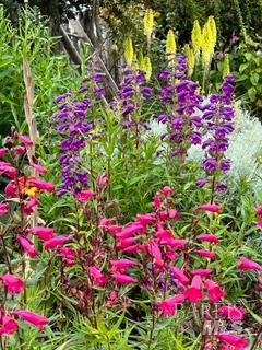 43700 Mountain View Road