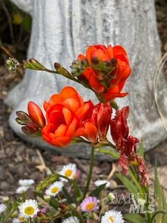 43700 Mountain View Road