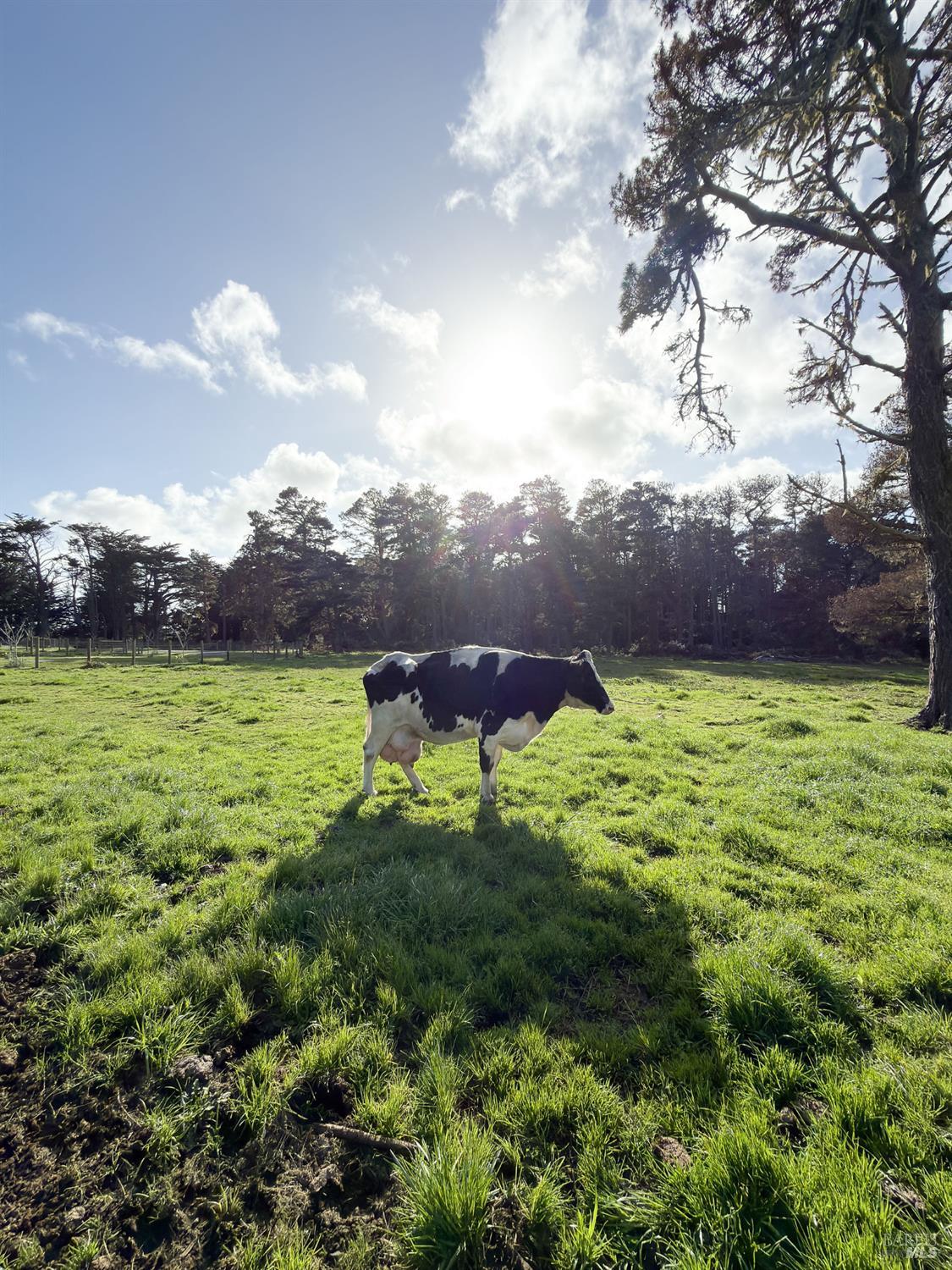 43700 Mountain View Road