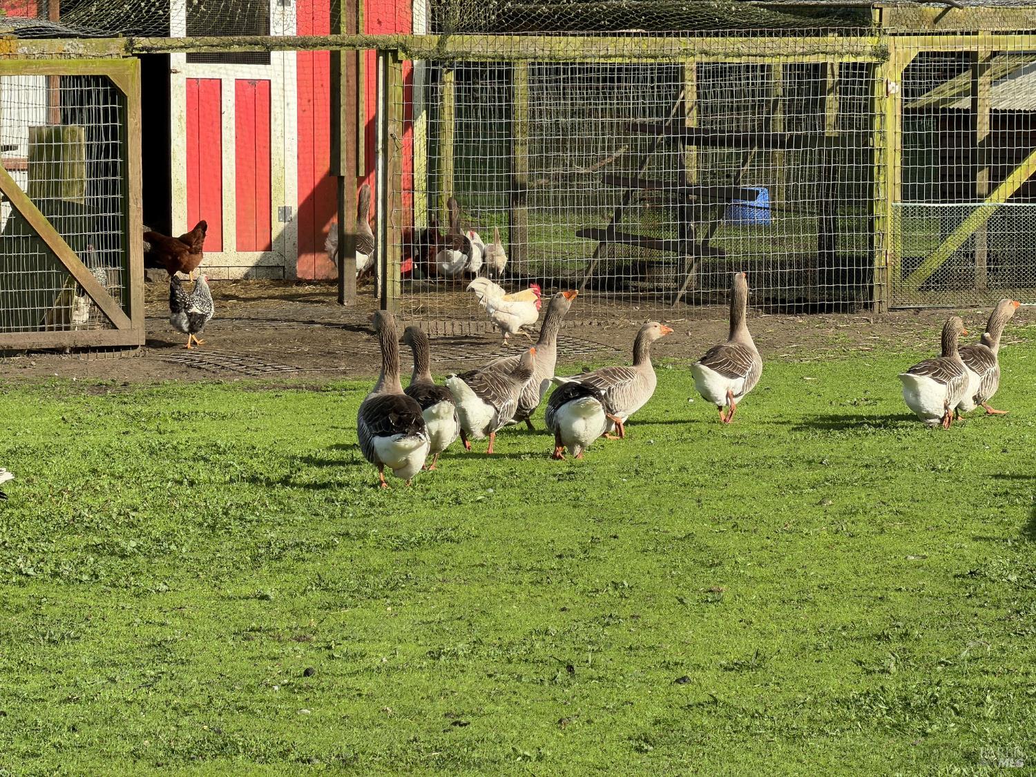 43700 Mountain View Road