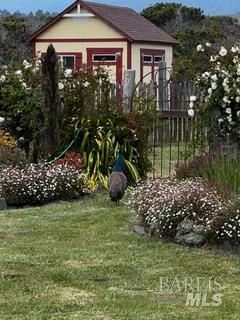 43700 Mountain View Road