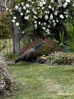 43700 Mountain View Road