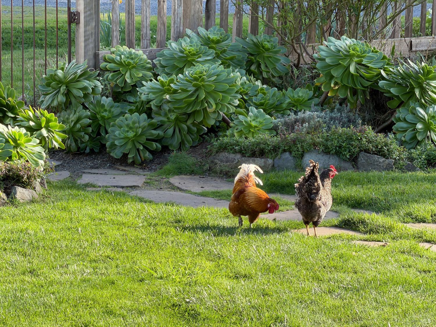 43700 Mountain View Road