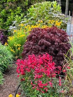 43700 Mountain View Road