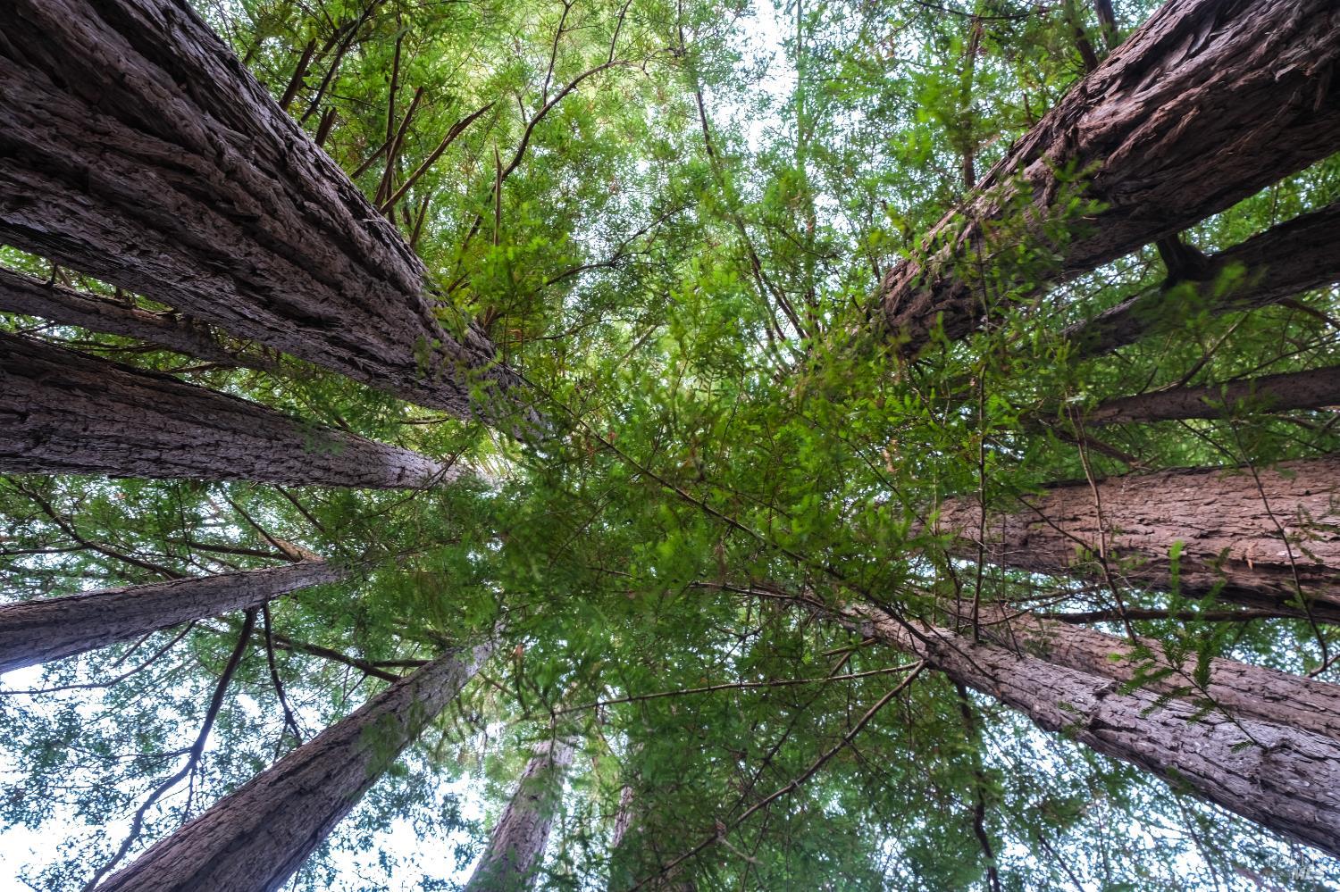 46800 Ocean View Drive