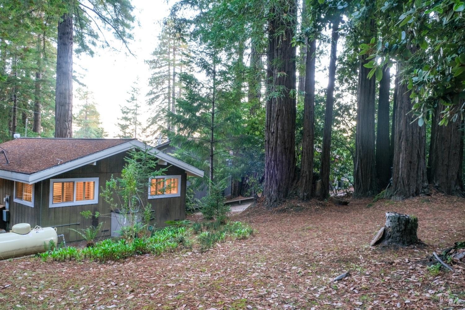 46800 Ocean View Drive