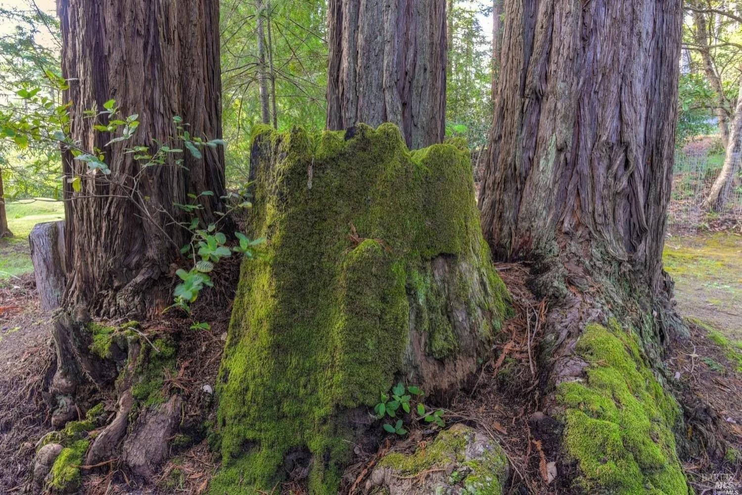 46800 Ocean View Drive