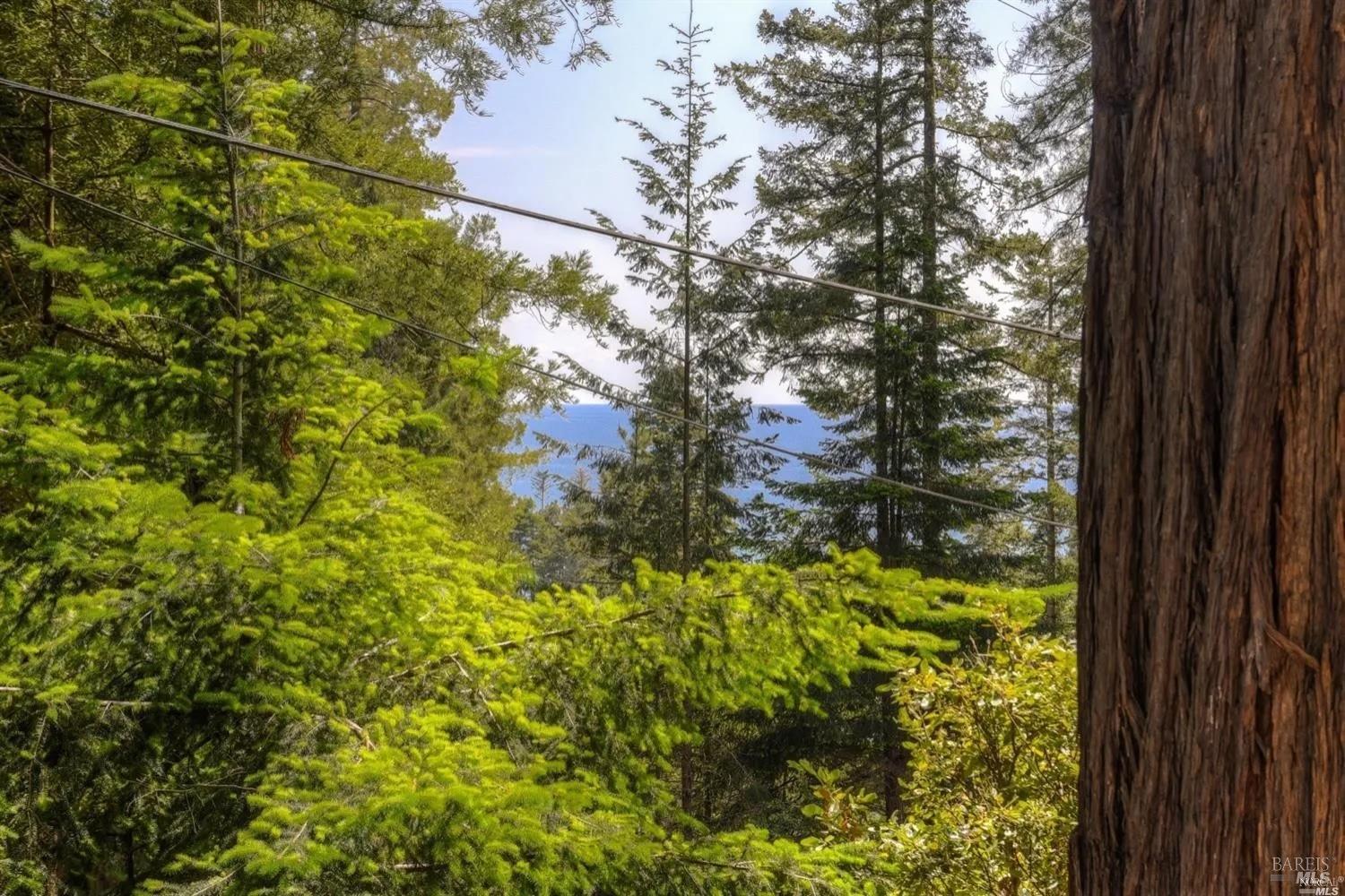 46800 Ocean View Drive