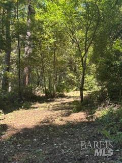 35261 Windsong Lane