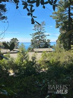 35261 Windsong Lane