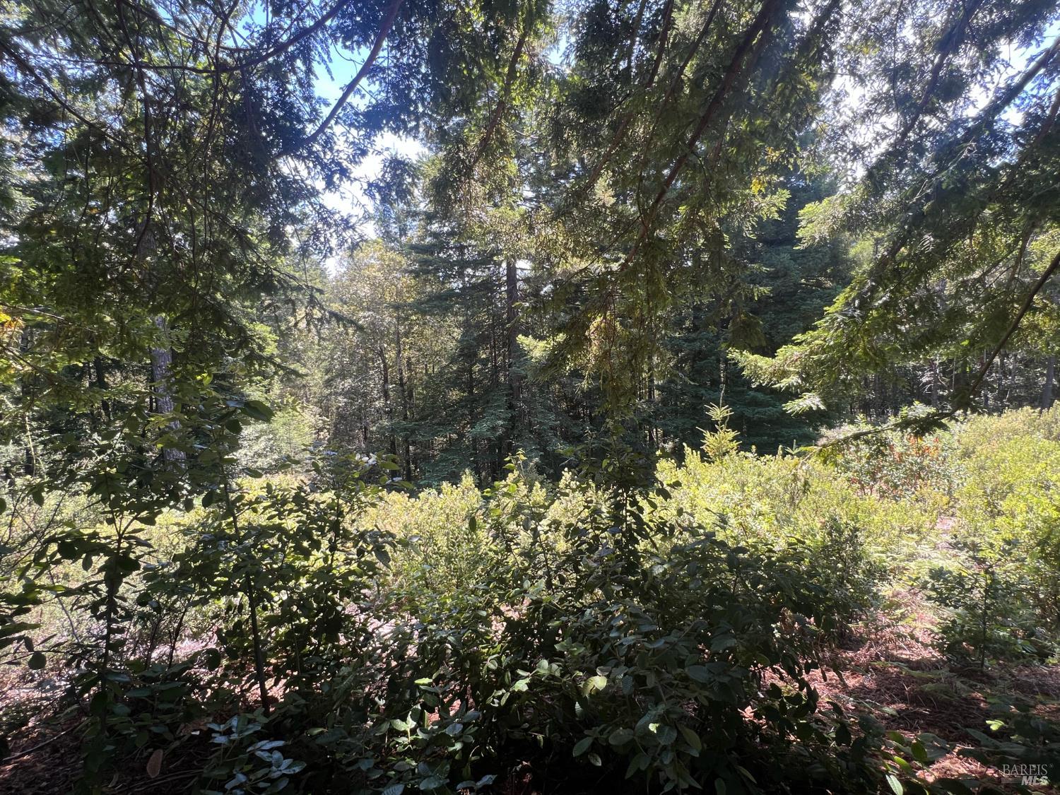 33482 Iversen Road