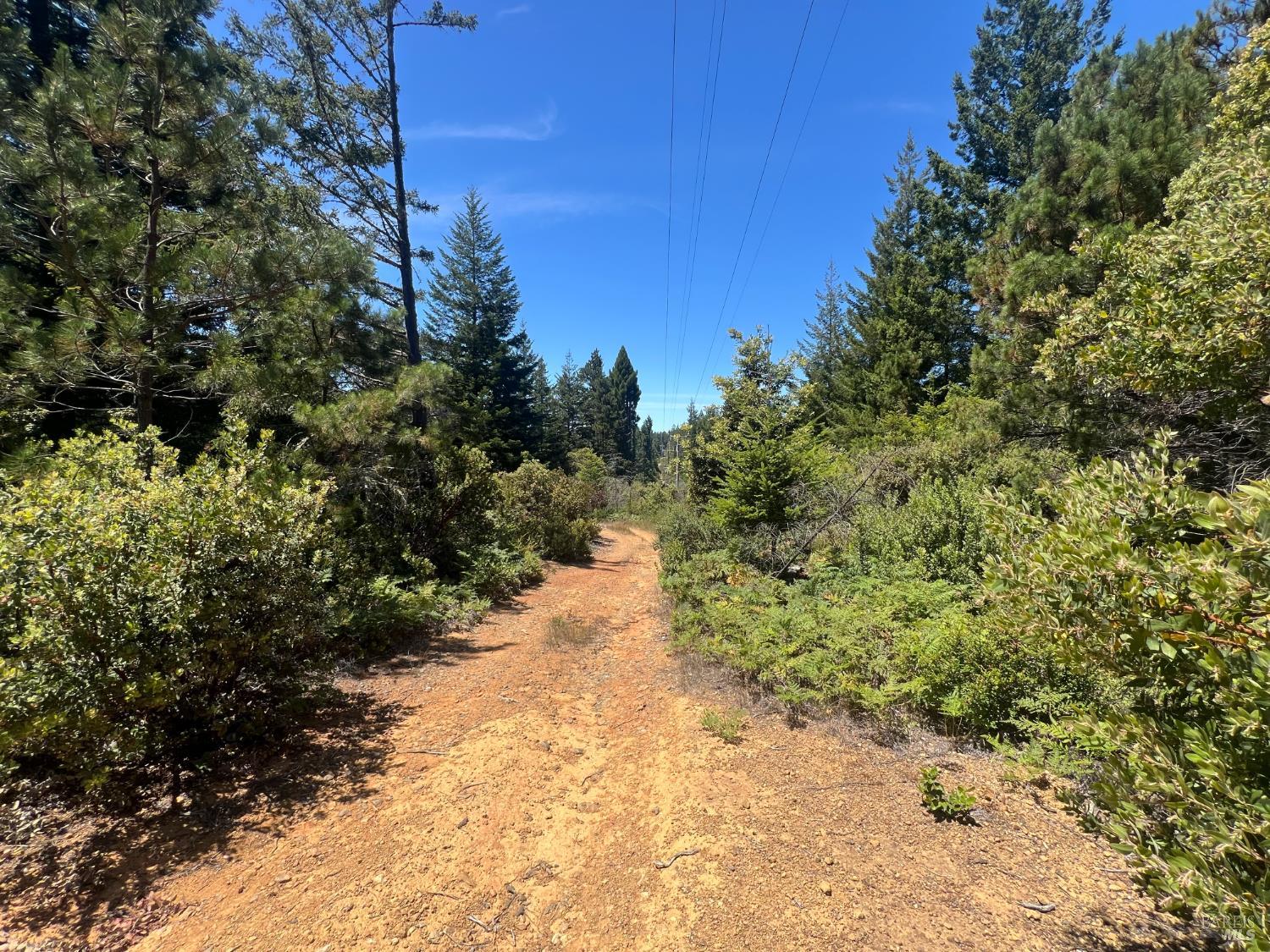 33482 Iversen Road