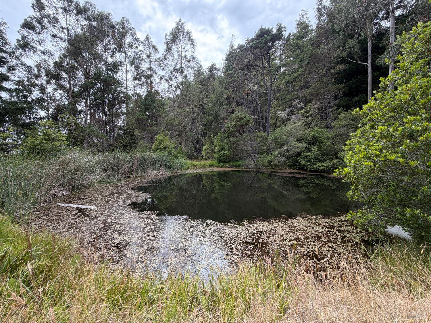 23285 Highway 1