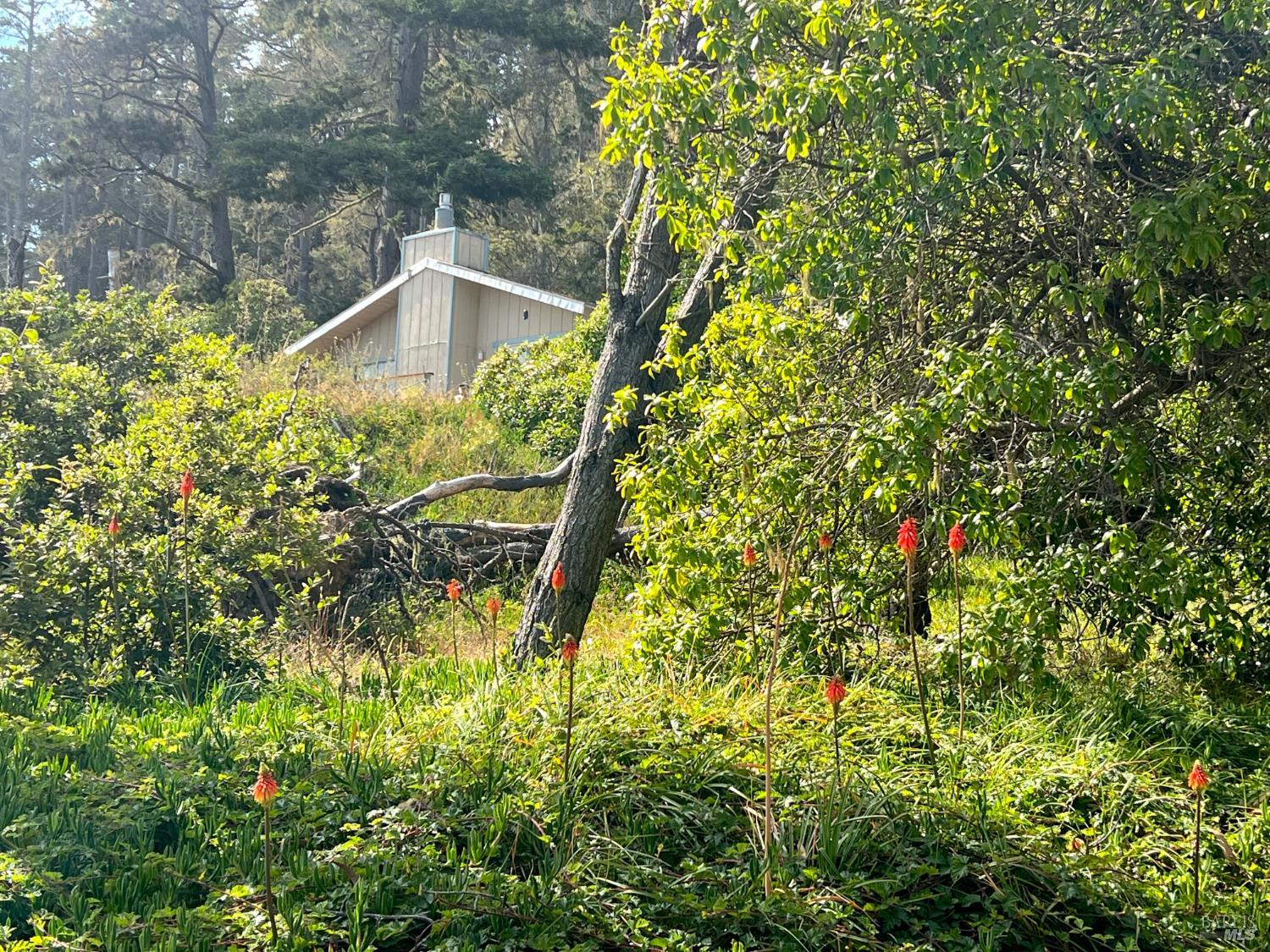 23285 Highway 1