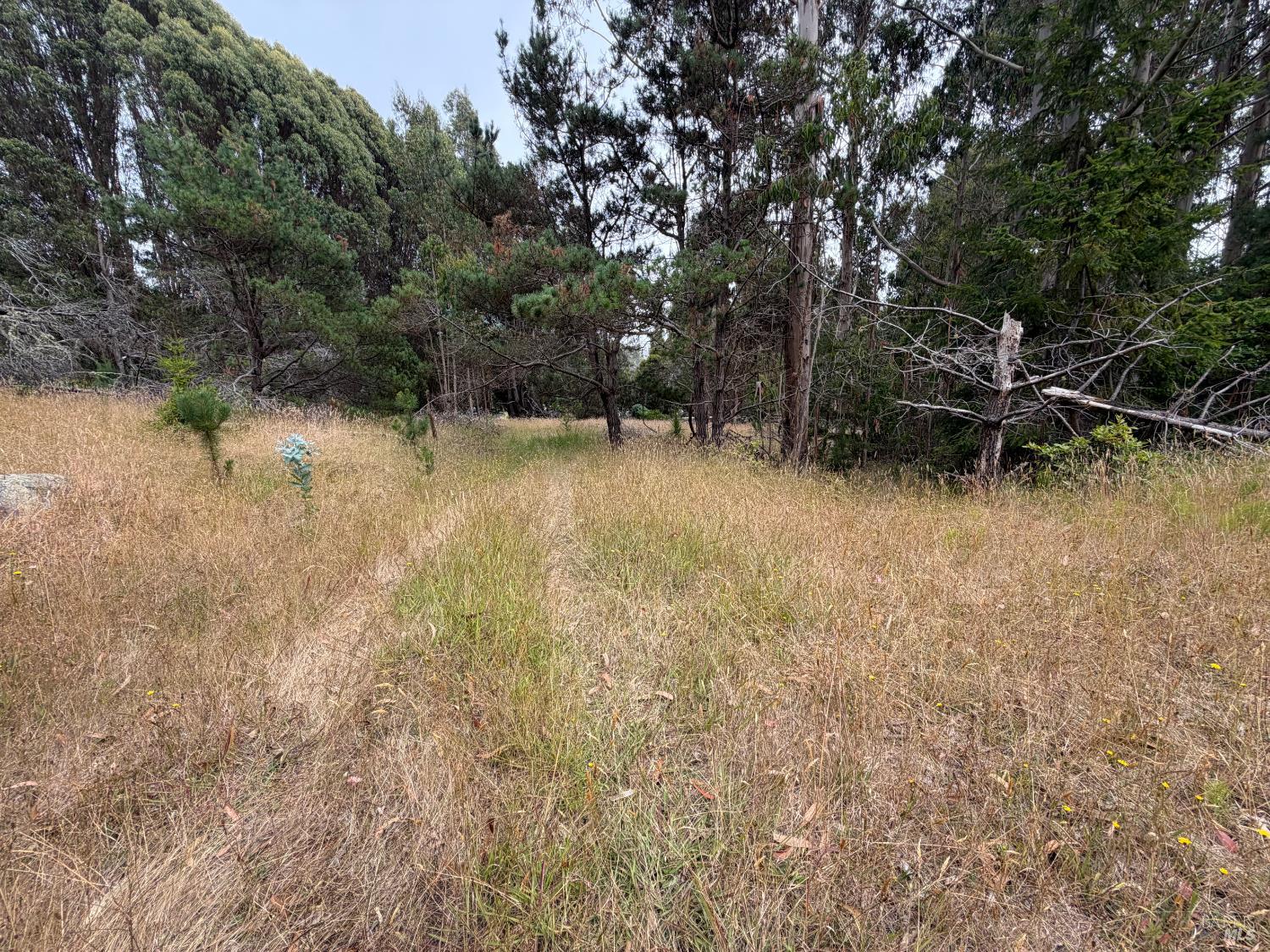 23285 Highway 1