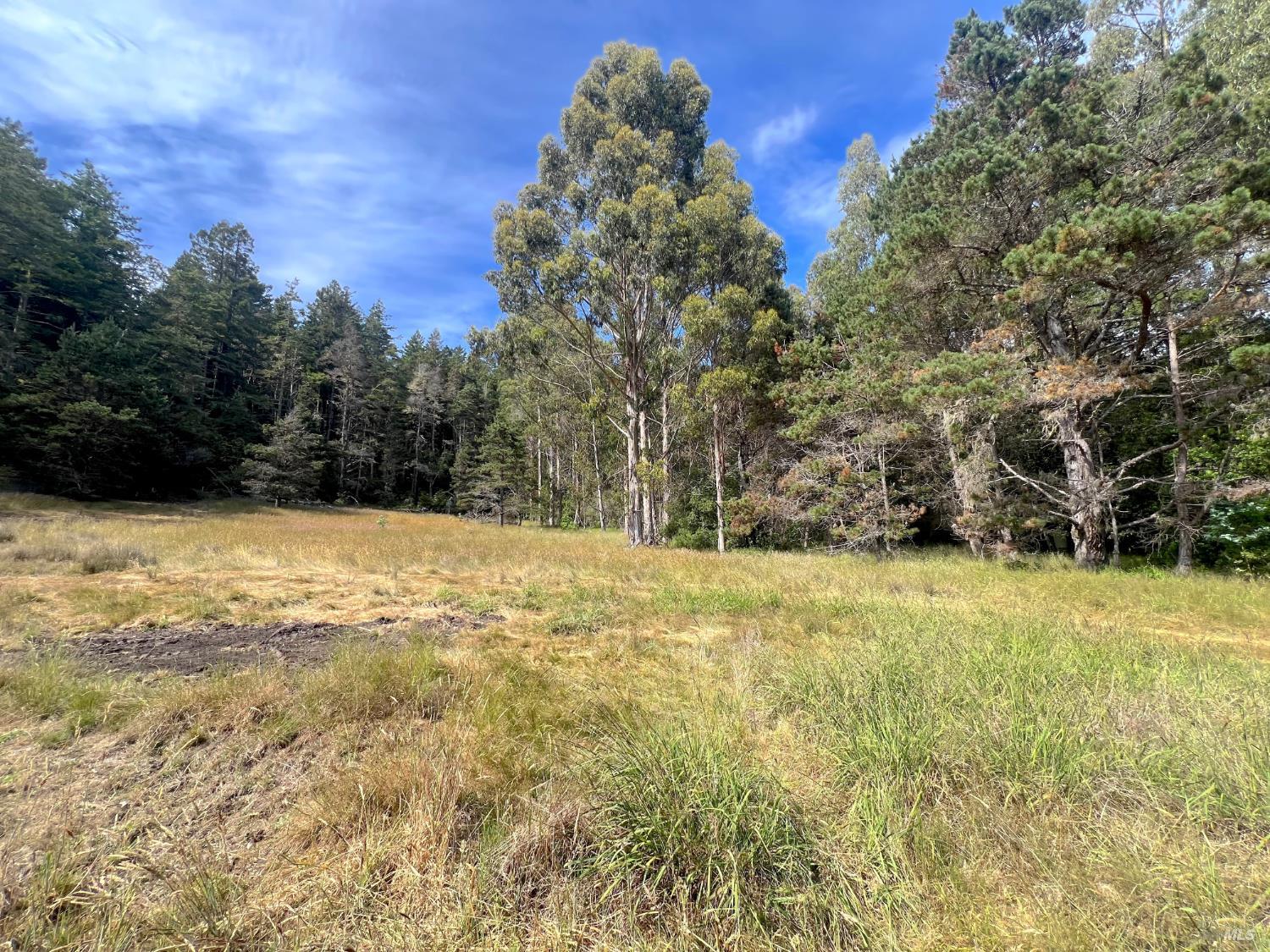 23285 Highway 1
