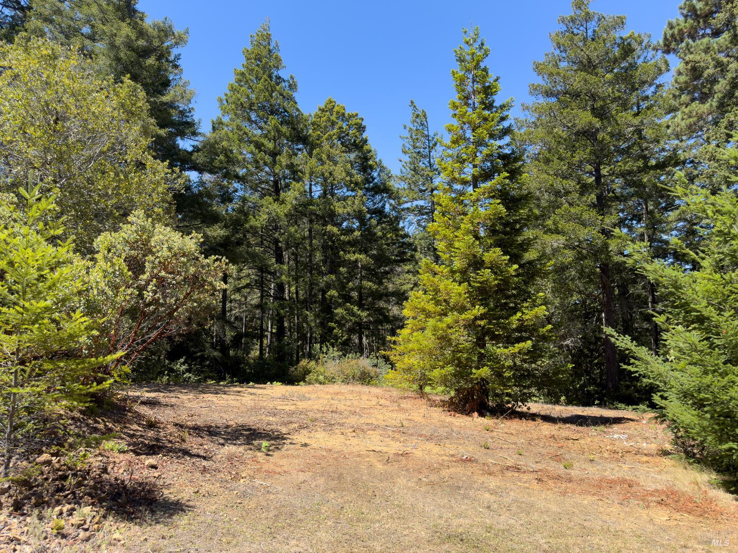 33416 Iversen Road
