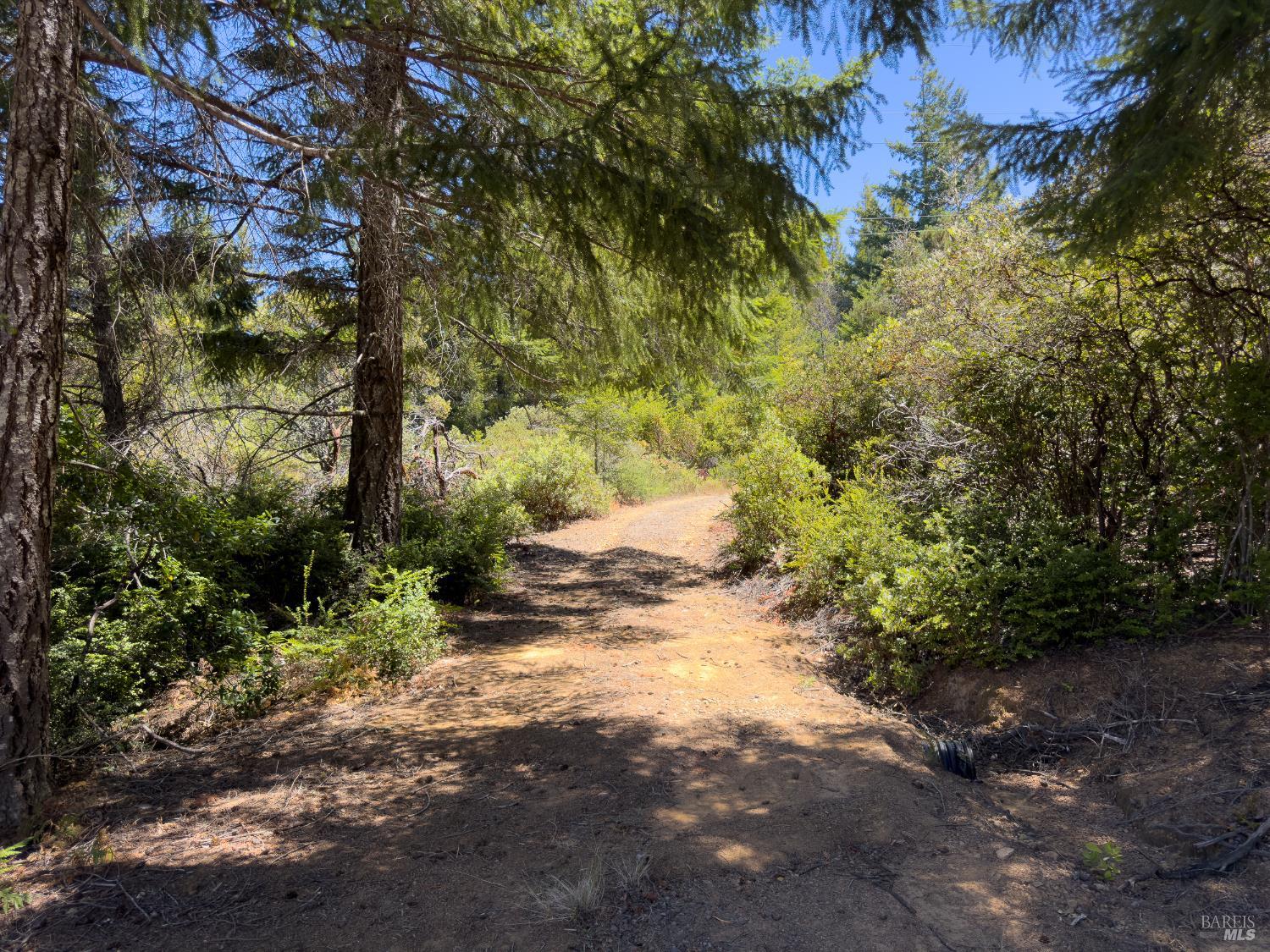 33416 Iversen Road