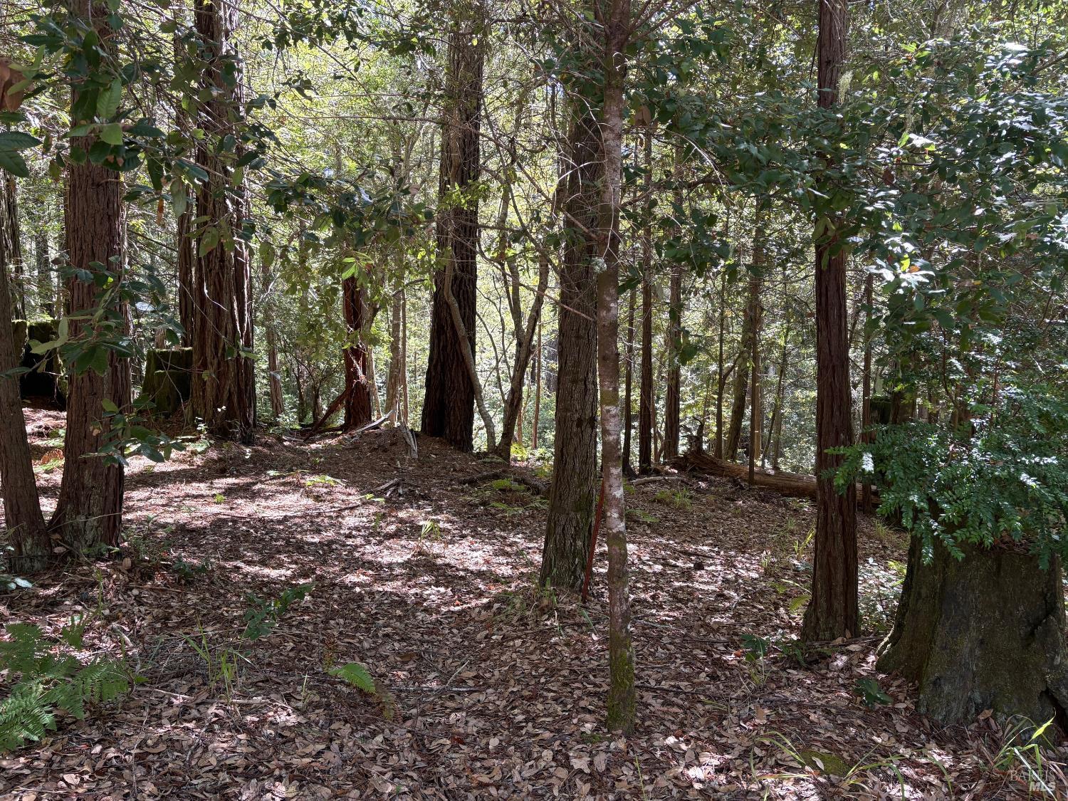 388 Moonraker Road