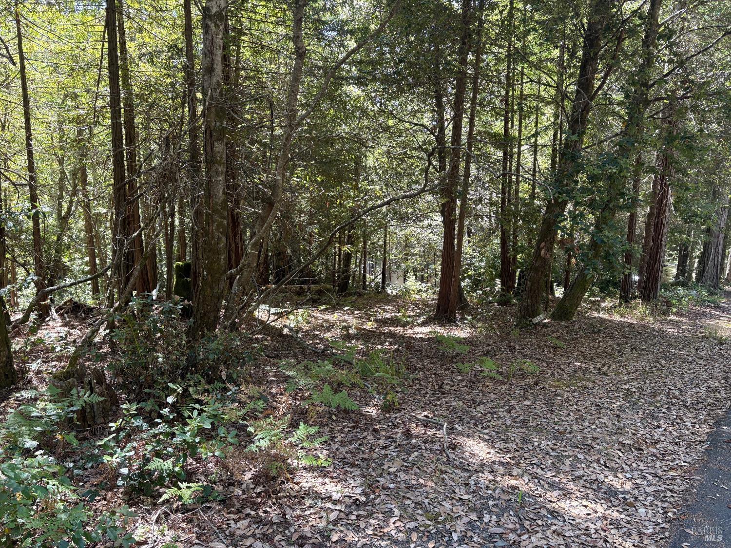 388 Moonraker Road