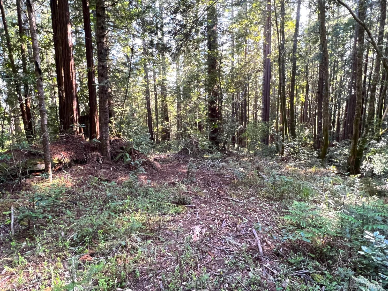 40410 Old Stage Road