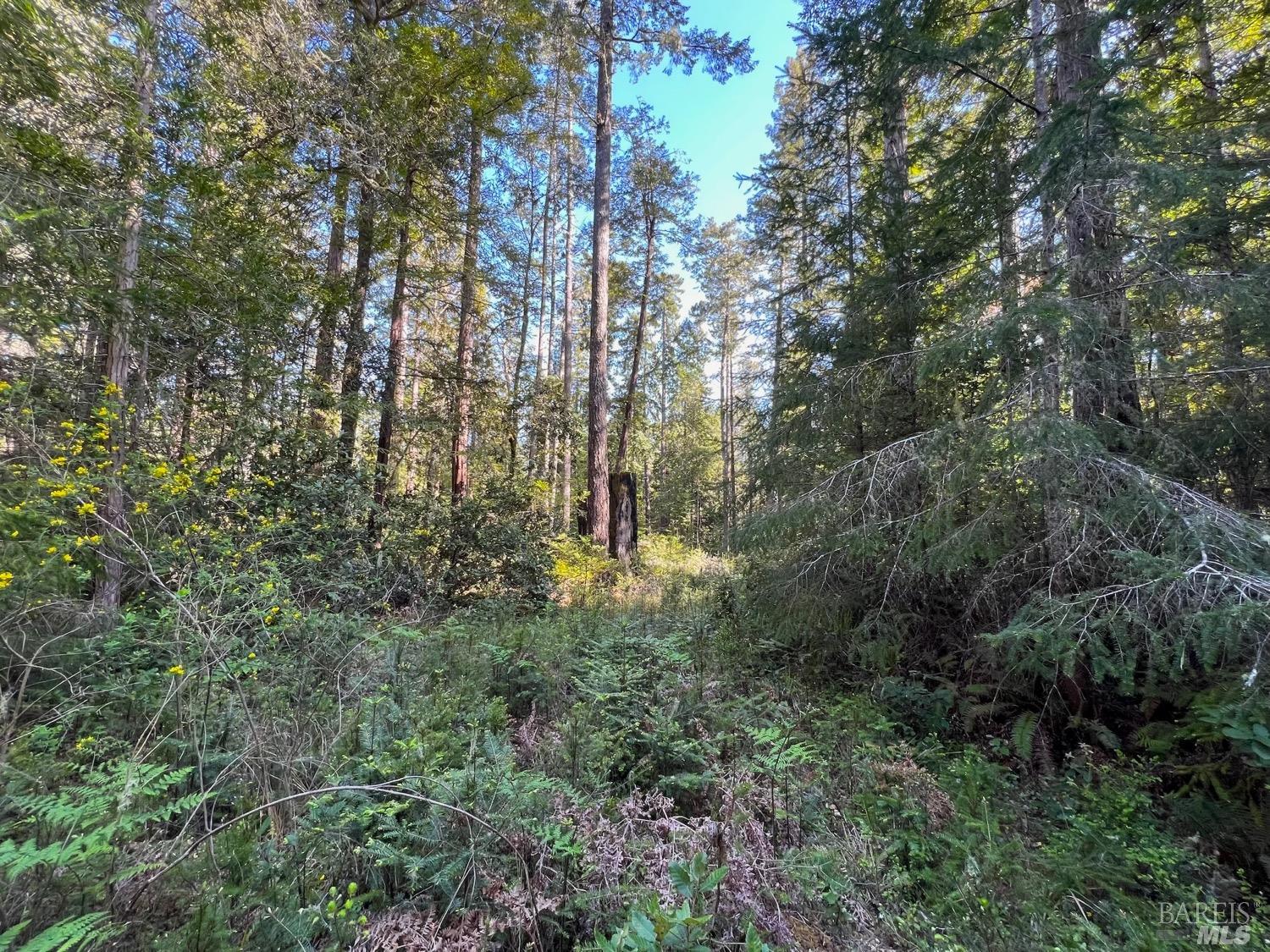 40410 Old Stage Road