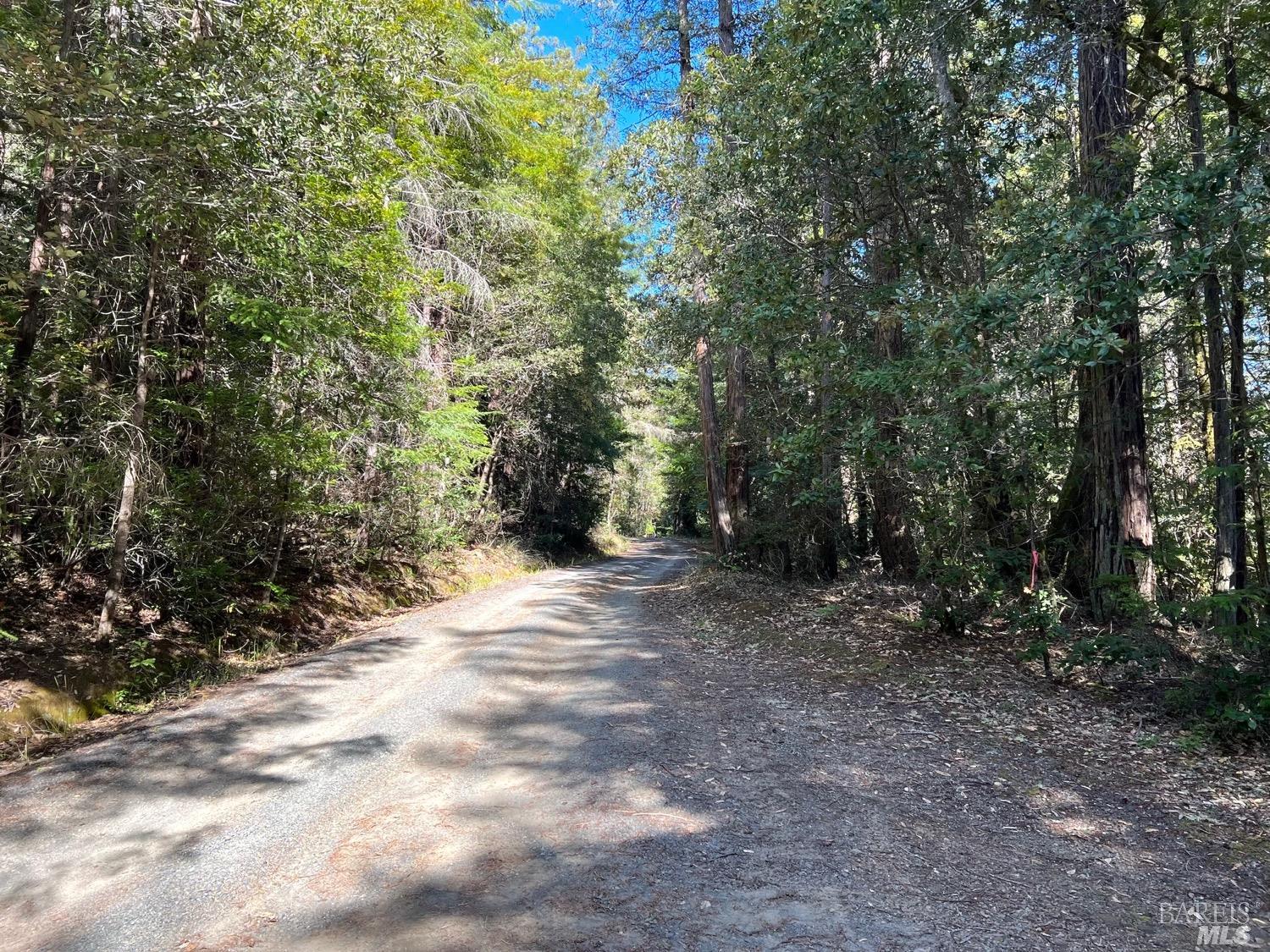 40410 Old Stage Road