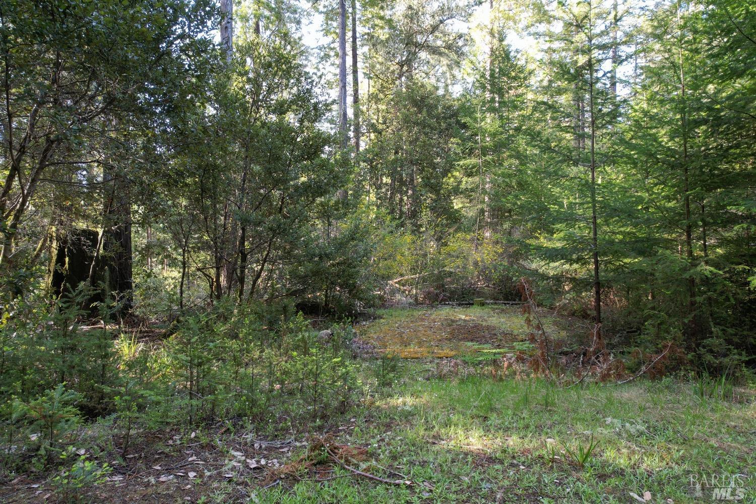 40410 Old Stage Road