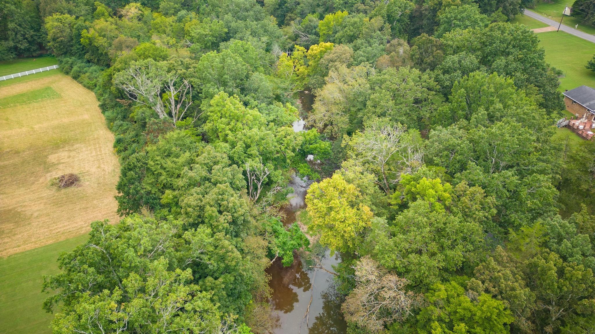 213 Edgeview Dr
