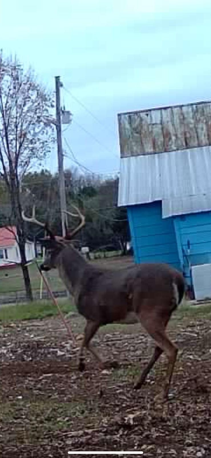 7665 Shelbyville Pike