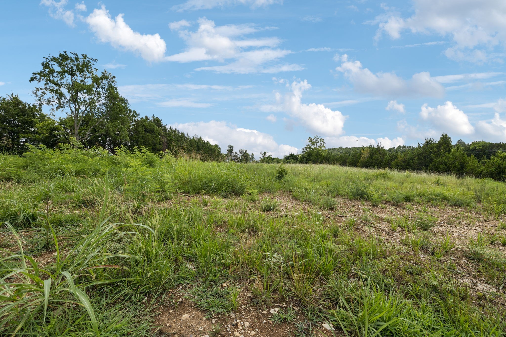 7665 Shelbyville Pike