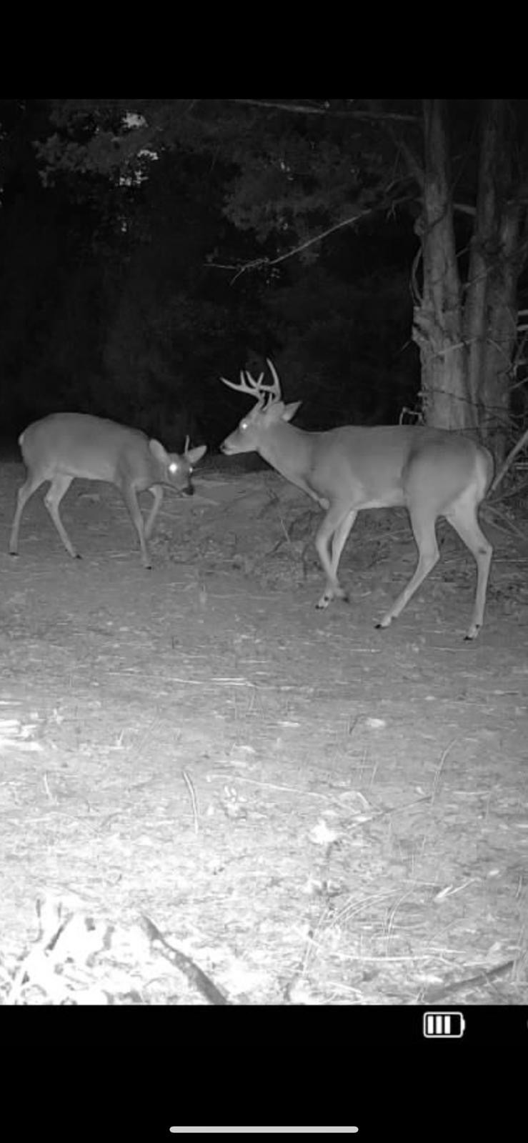 7665 Shelbyville Pike