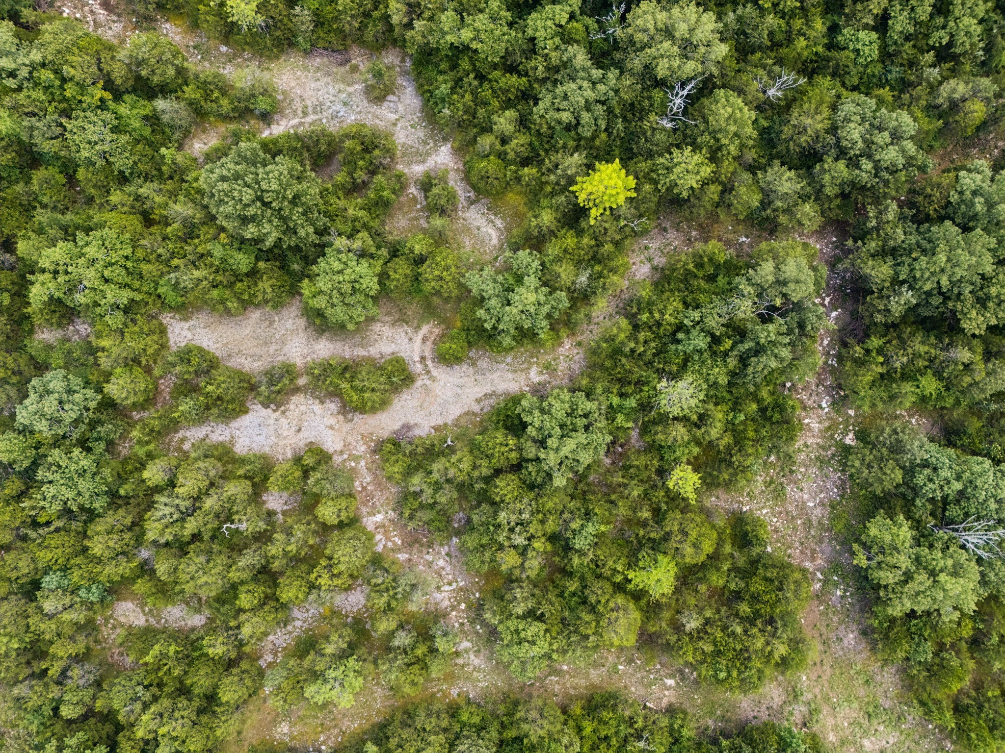 7665 Shelbyville Pike