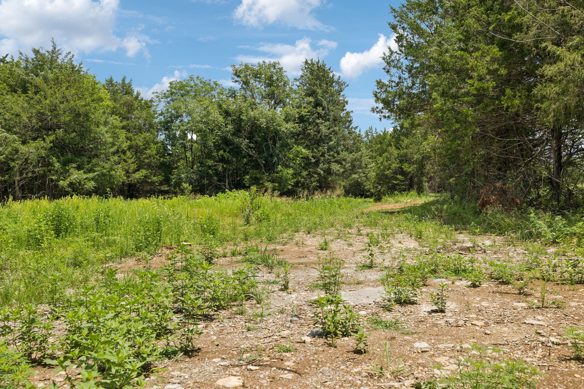 7665 Shelbyville Pike