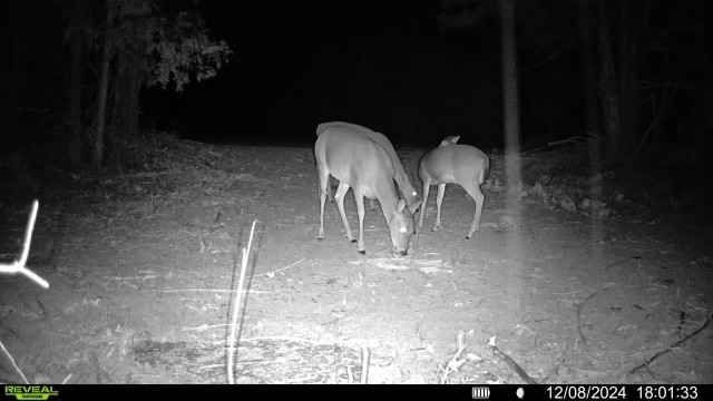 7665 Shelbyville Pike