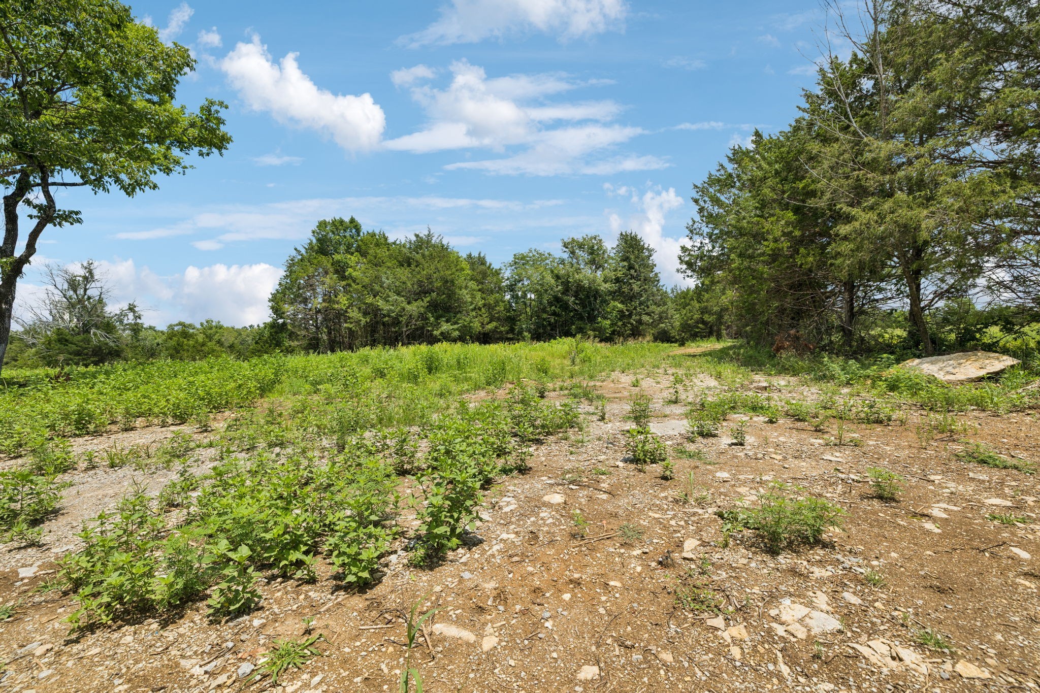 7665 Shelbyville Pike