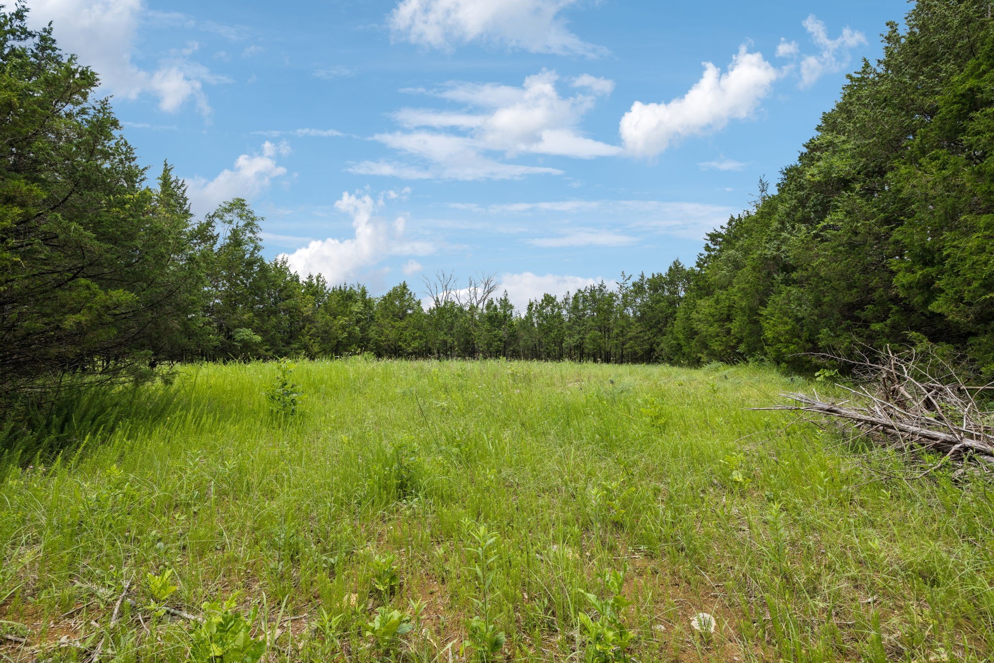 7665 Shelbyville Pike