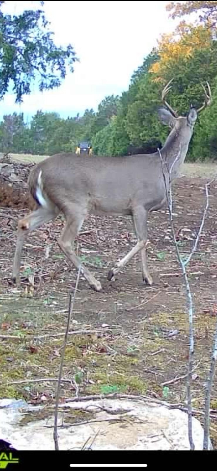 7665 Shelbyville Pike