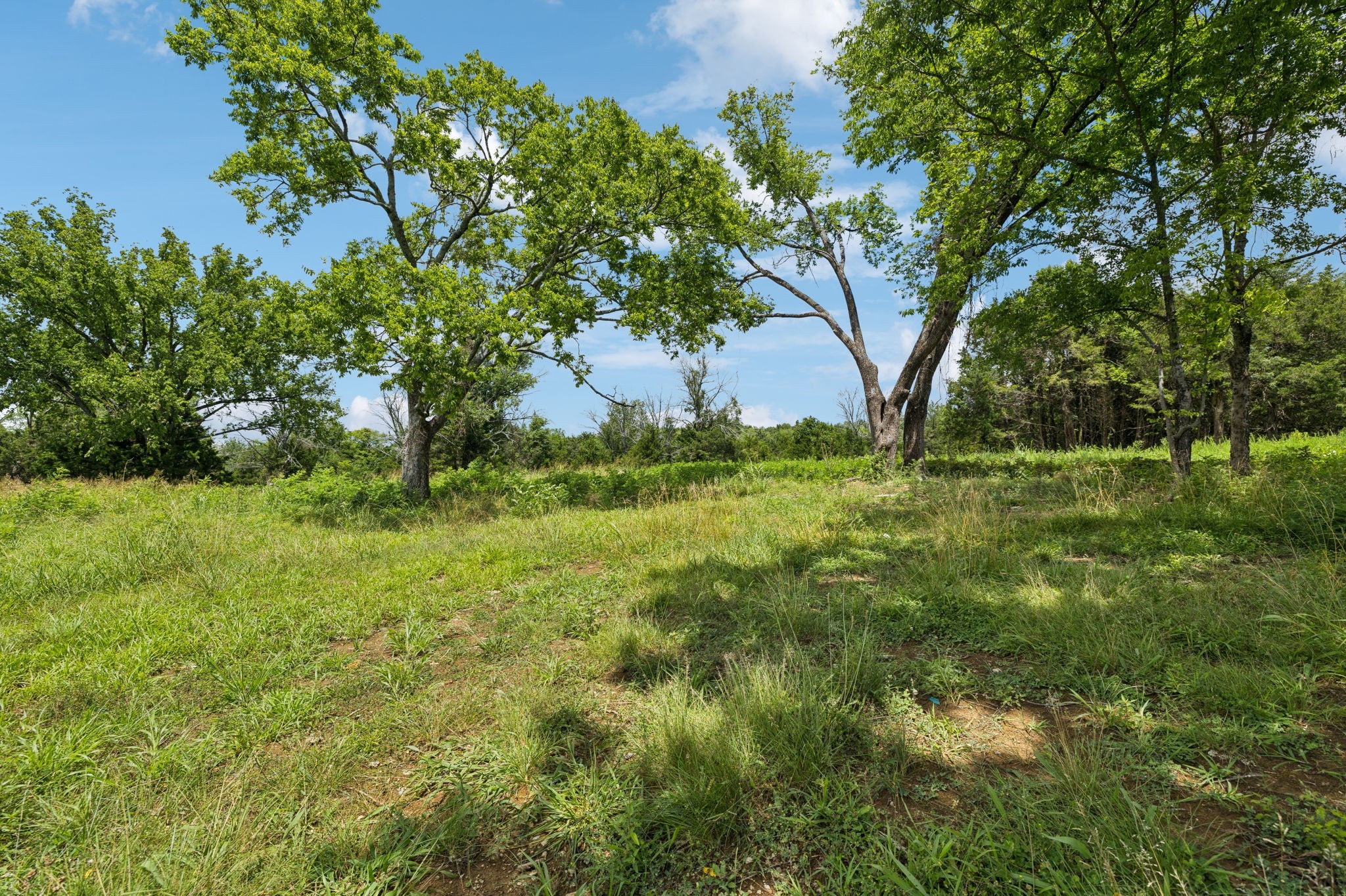 7665 Shelbyville Pike