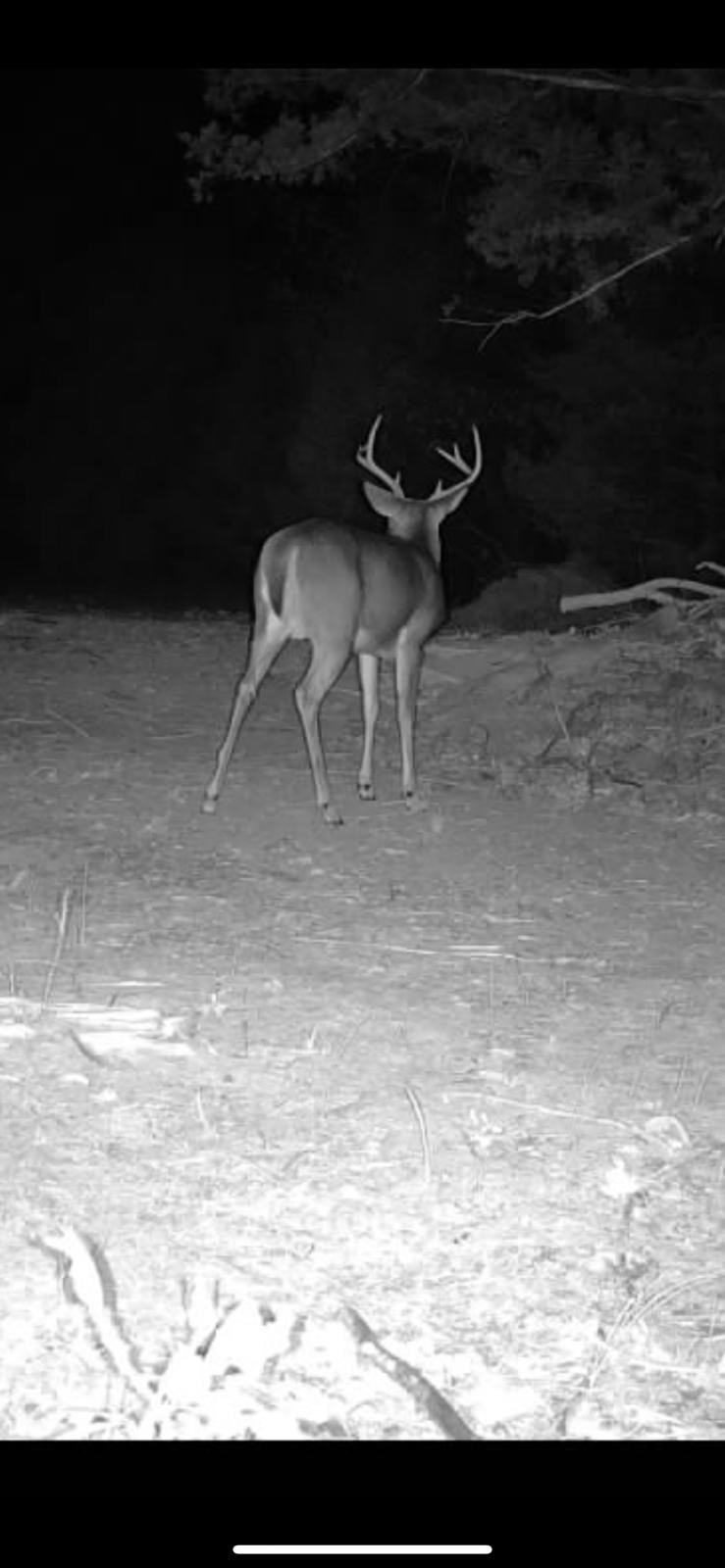 7665 Shelbyville Pike