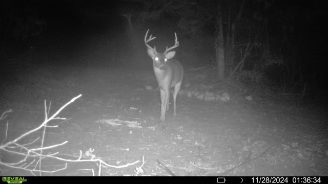 7665 Shelbyville Pike