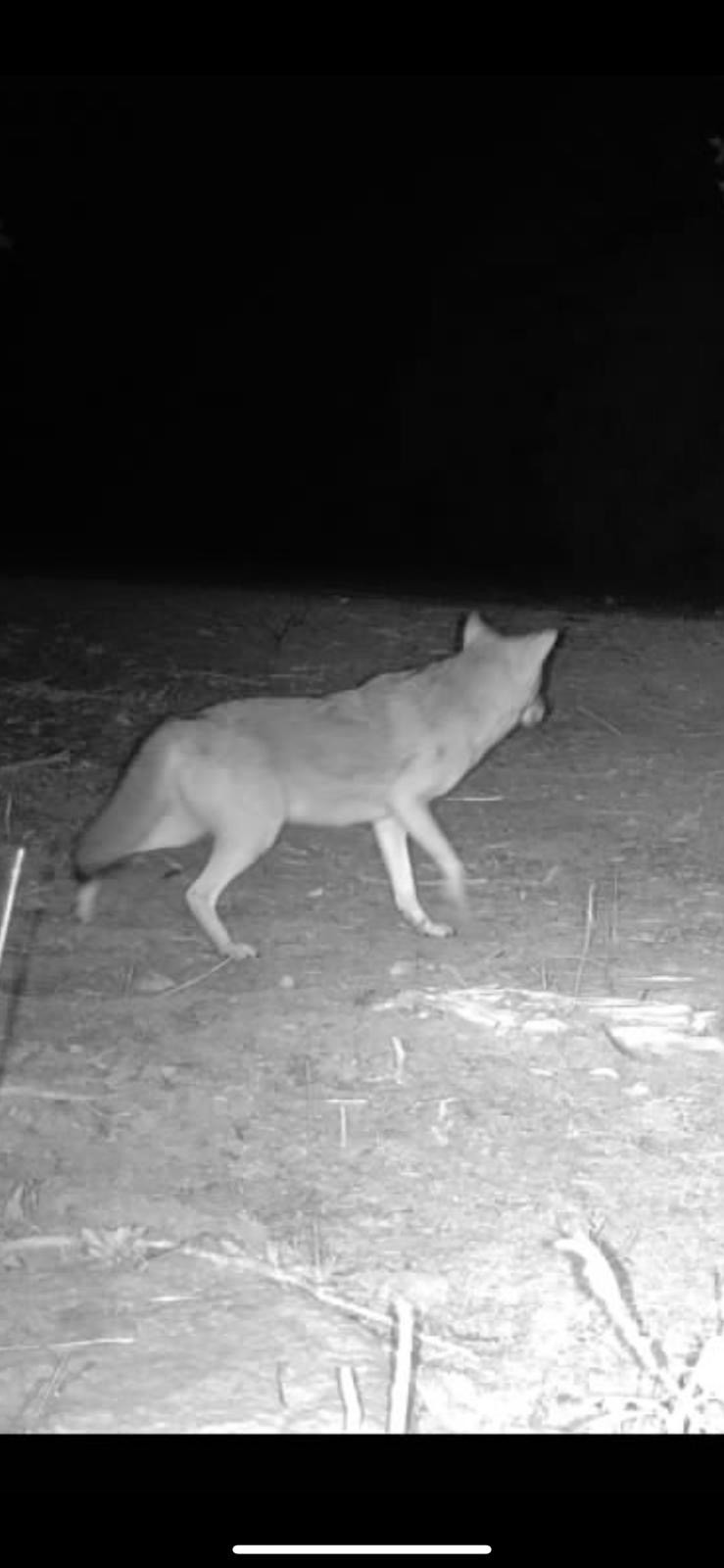 7665 Shelbyville Pike