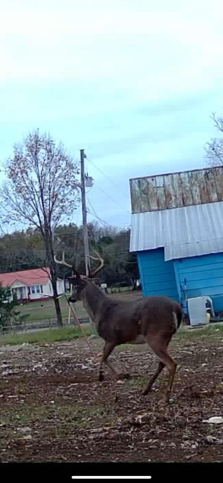 7665 Shelbyville Pike