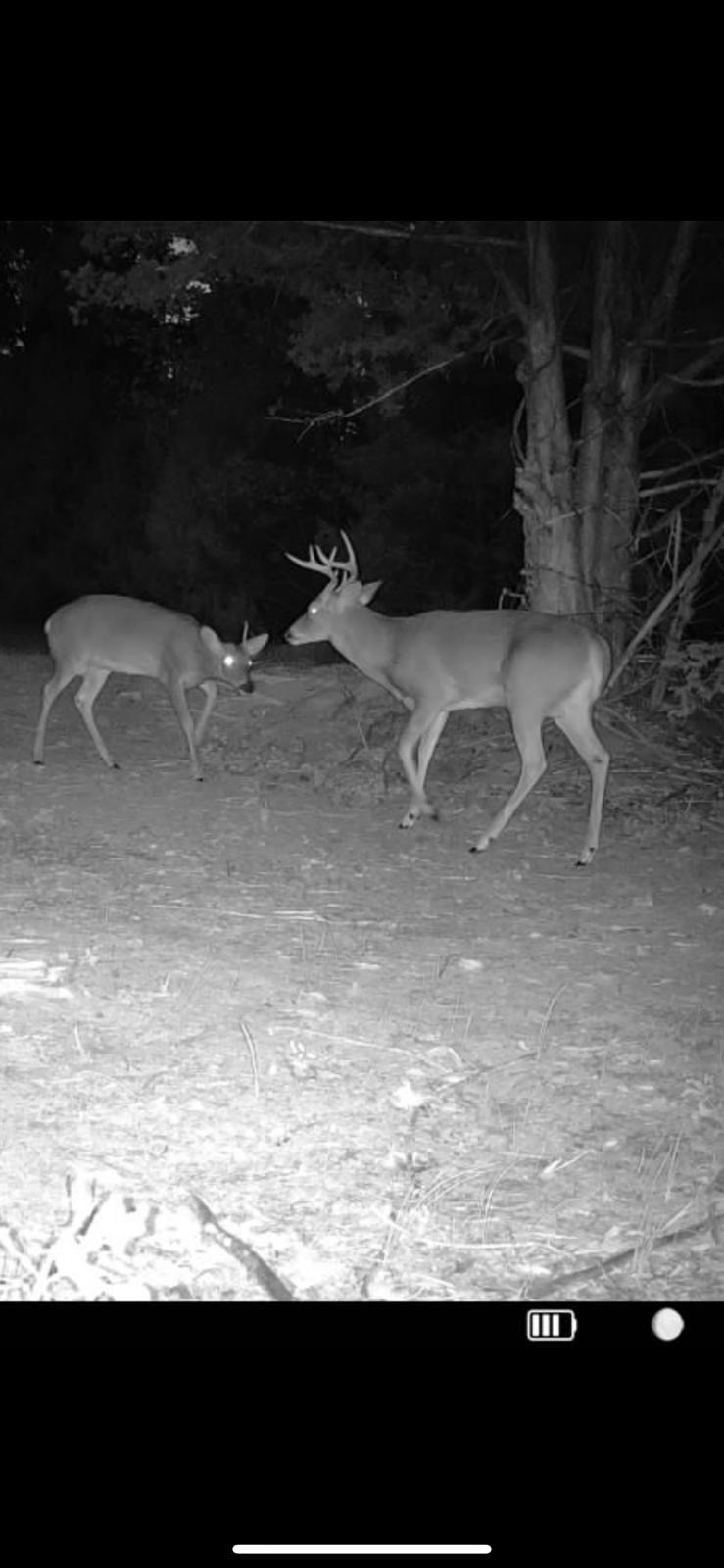 7665 Shelbyville Pike