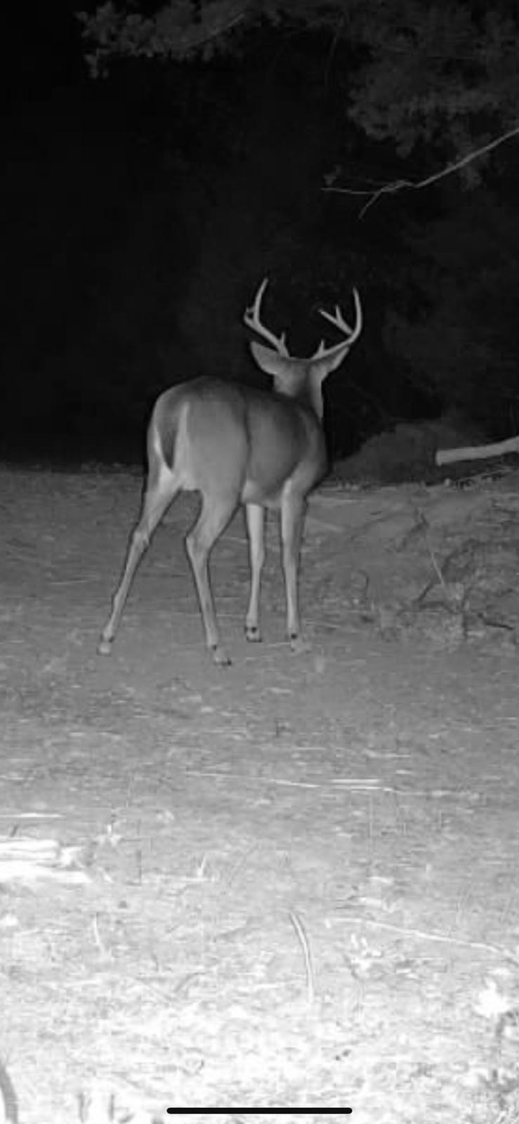 7665 Shelbyville Pike