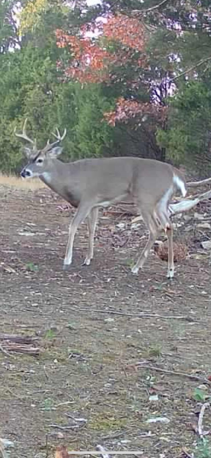 7665 Shelbyville Pike