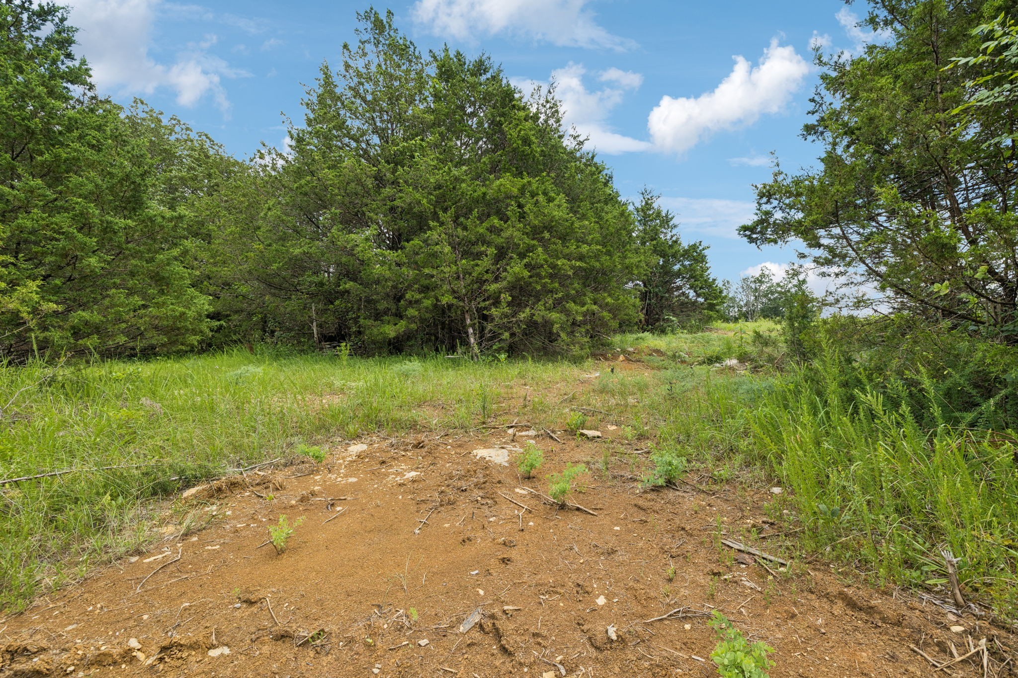 7665 Shelbyville Pike